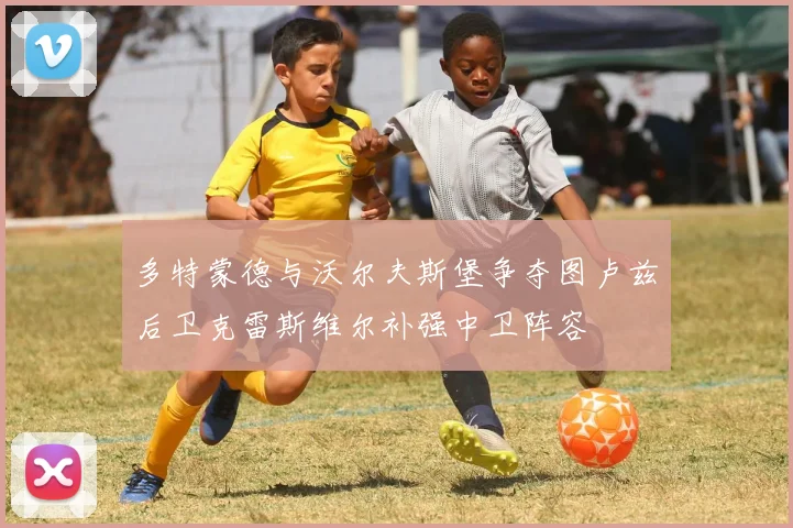 多特蒙德与沃尔夫斯堡争夺图卢兹后卫克雷斯维尔补强中卫阵容