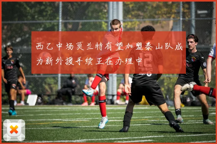 西乙中场莫兰特有望加盟泰山队成为新外援手续正在办理中